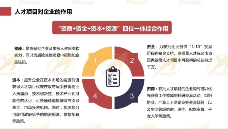 项目申报咨询
